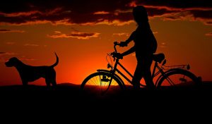 Sunset with a woman walking along side her bike with her dog in the front.