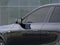 2027 Cadillac LYRIQ Premium Sport