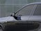 2027 Cadillac LYRIQ Premium Sport